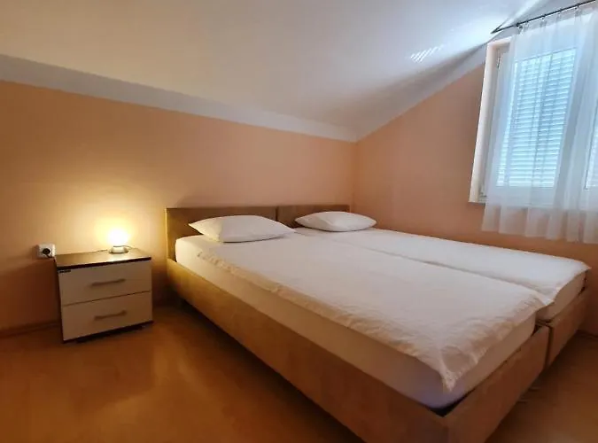 Oaza, Mulo * Vrsi