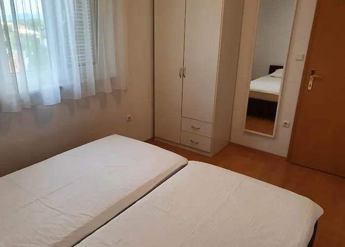 Oaza, Mulo * Vrsi