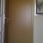 Oaza, Mulo 沃希
