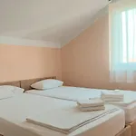 Oaza, Mulo * Vrsi