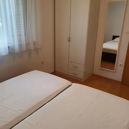 Oaza, Mulo * Vrsi