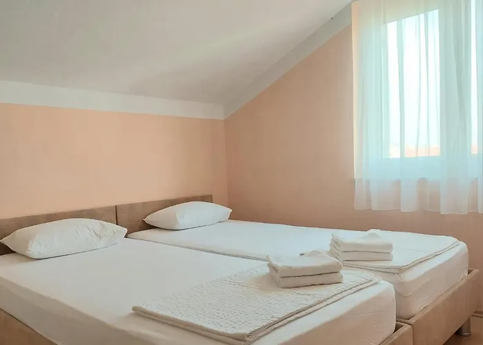 Oaza, Mulo * Vrsi